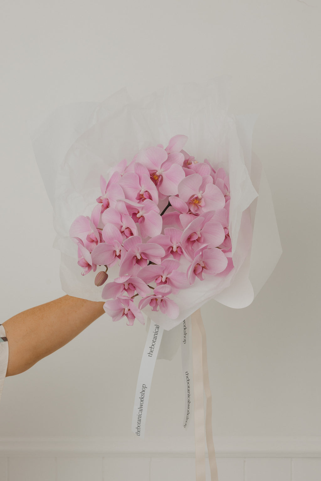 Fresh Orchid Stem