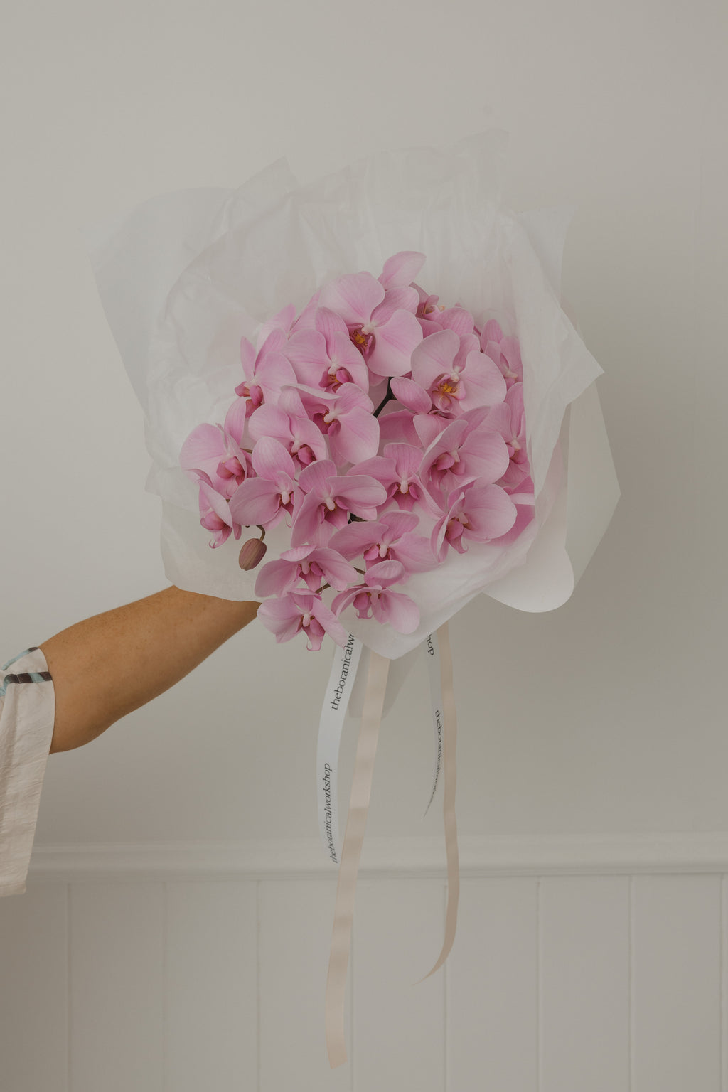 Fresh Orchid Stem