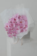 Fresh Orchid Stem
