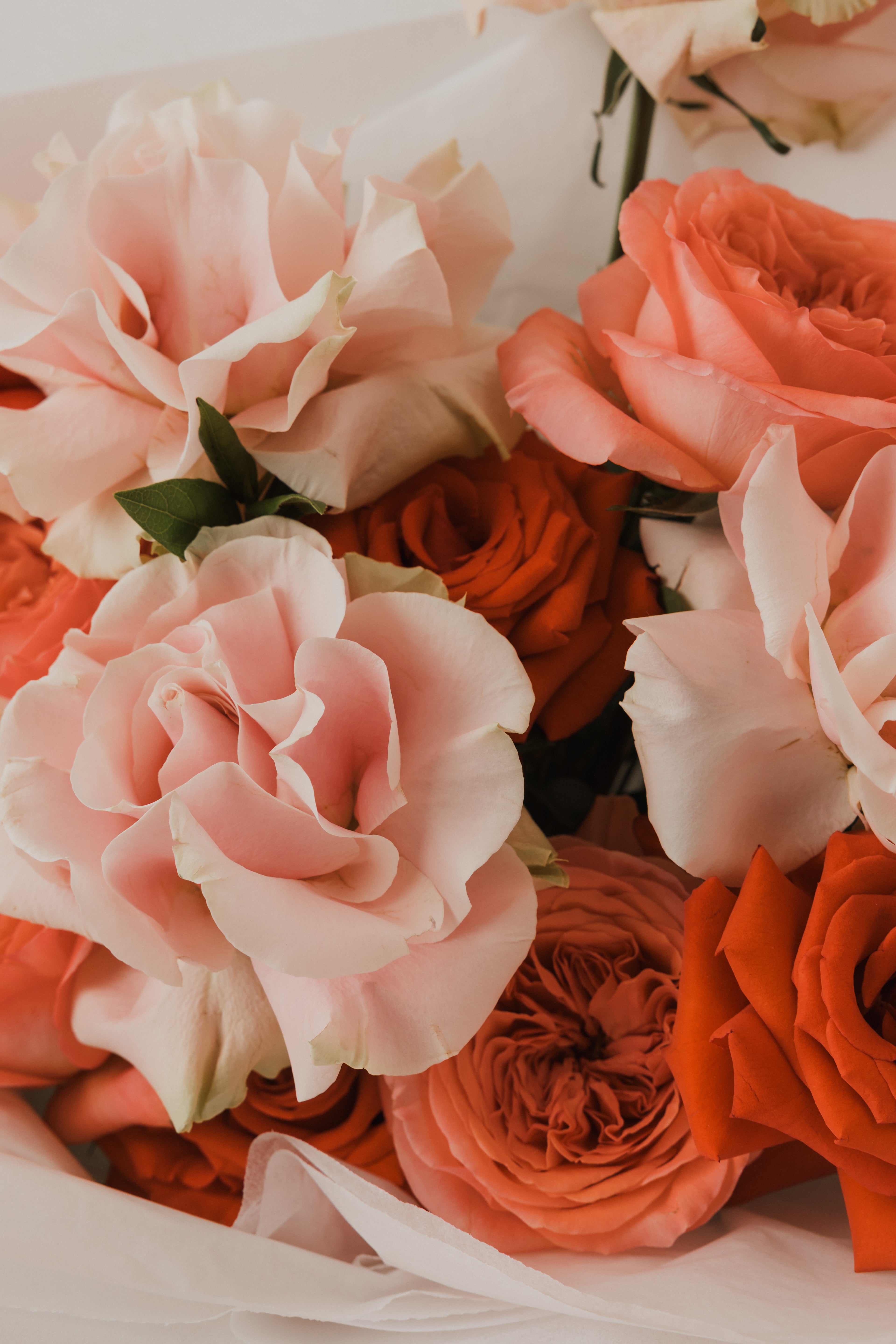 Luxe Valentines Day Blooms