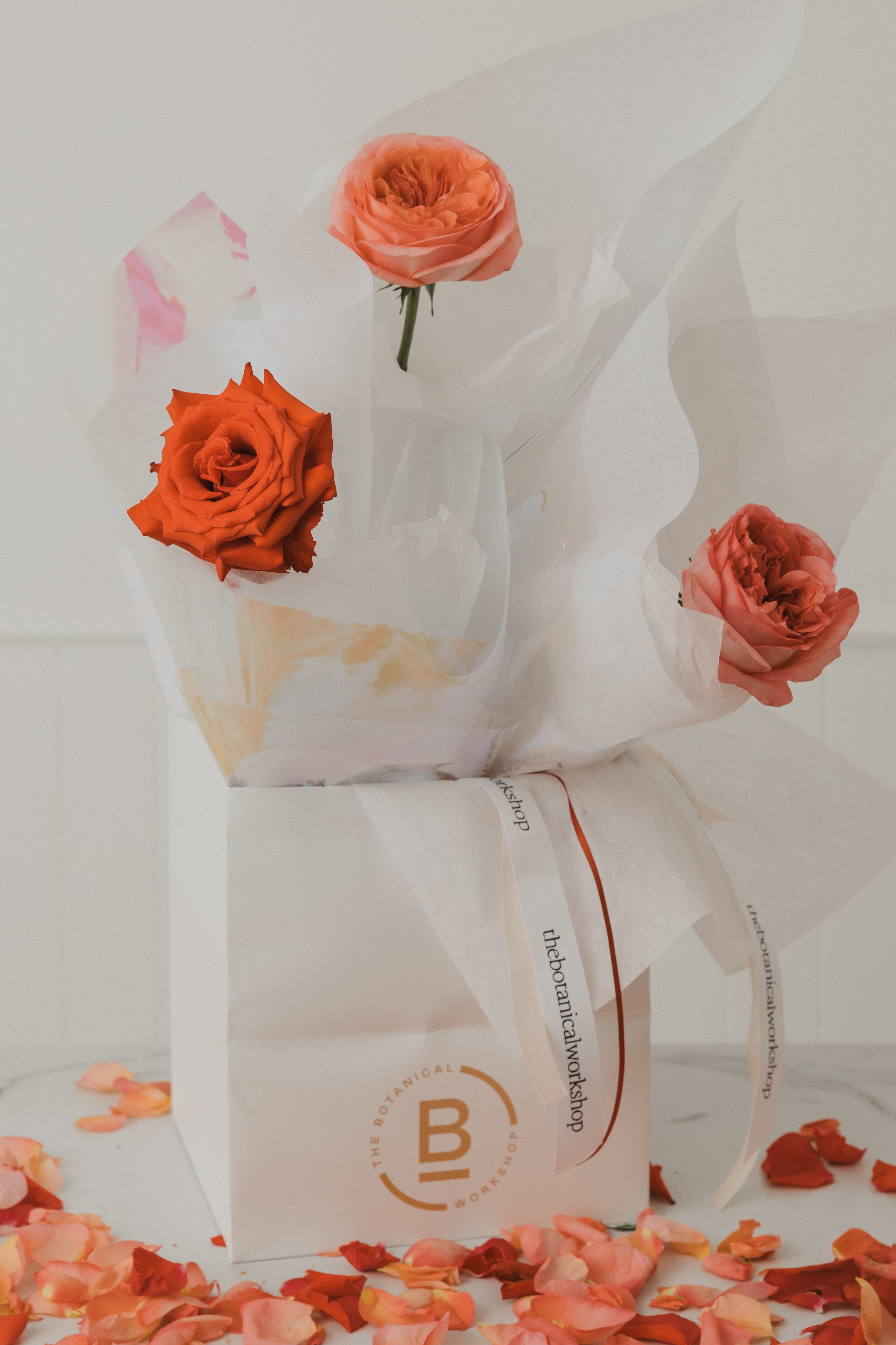 Single Stem Valentines Day Rose