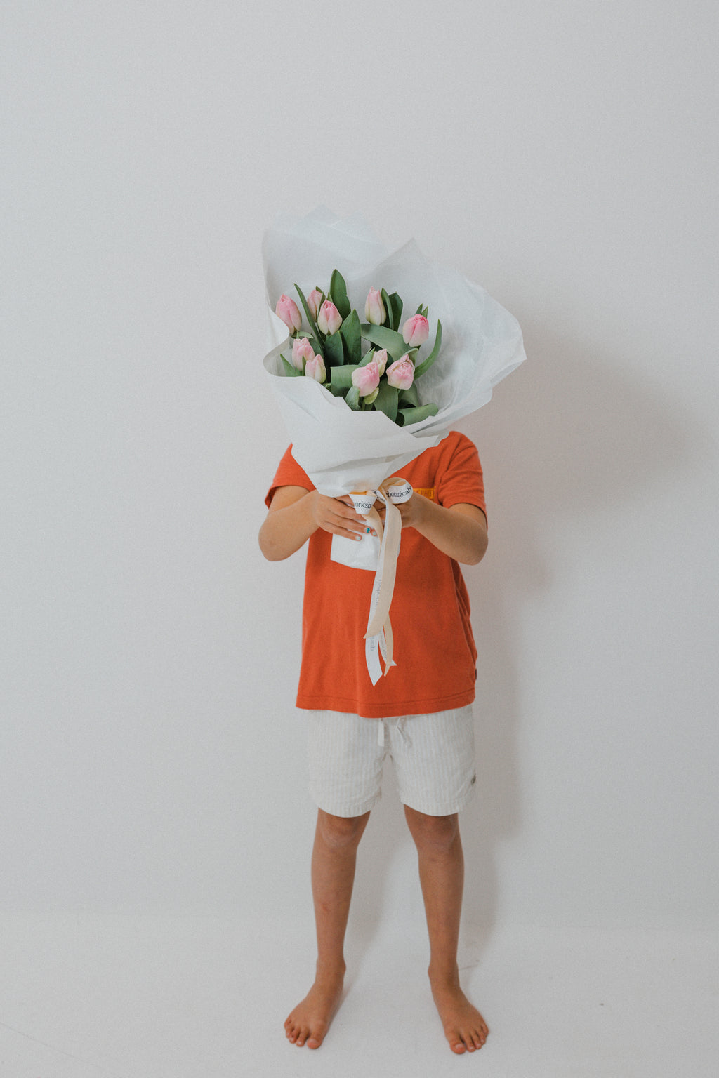 Fresh Tulips