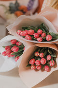 Fresh Tulips