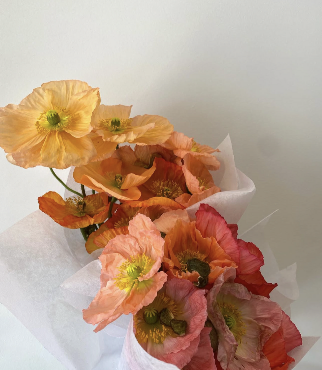 Fresh Single Variety Bunch