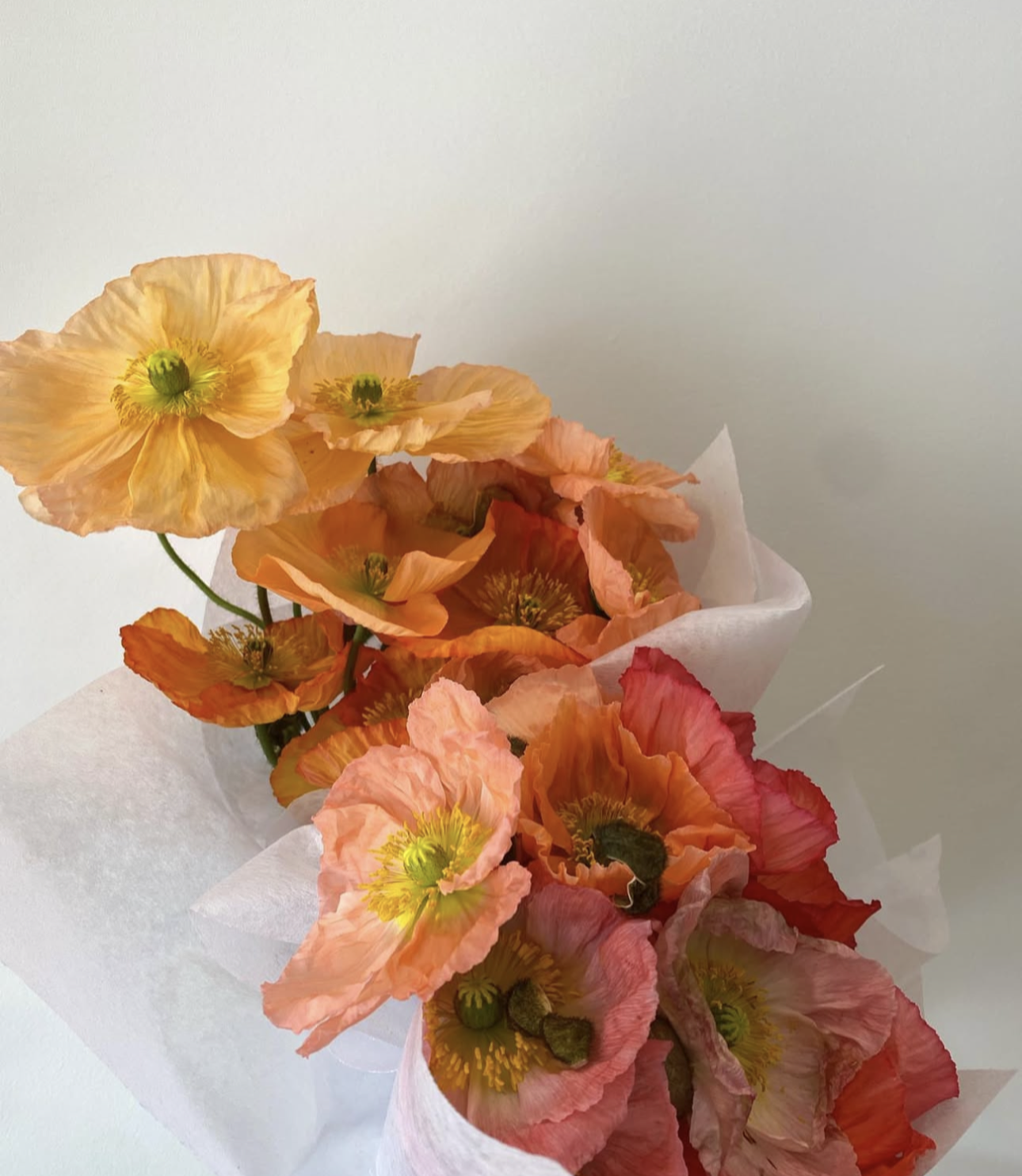 Fresh Single Variety Bunch