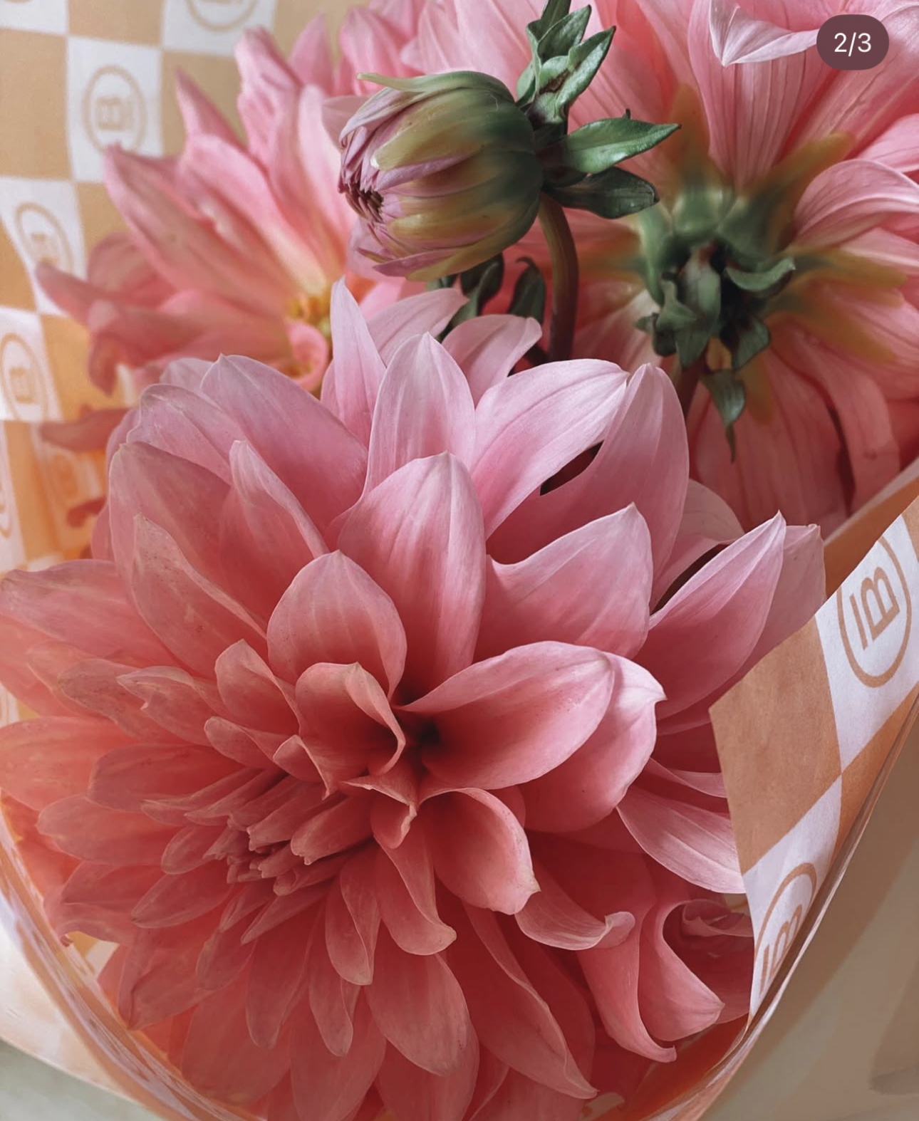 Fresh Single Variety Bunch