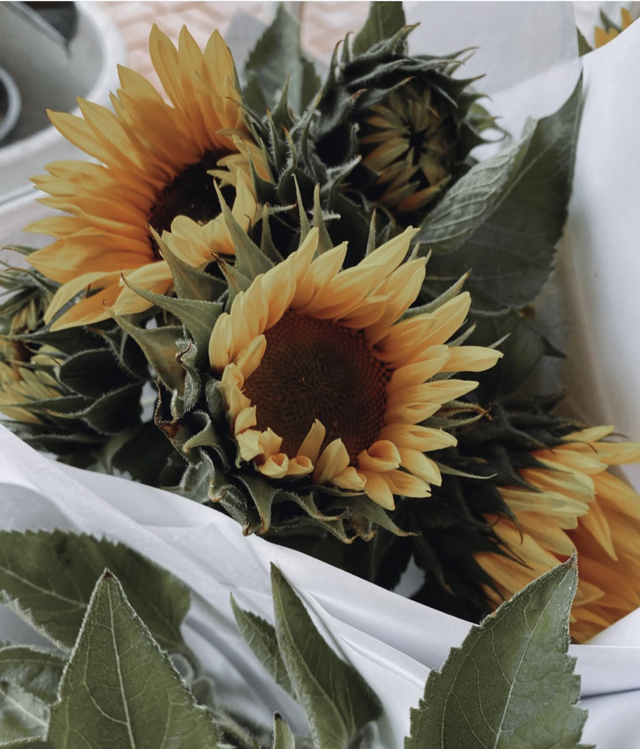 Fresh Single Variety Bunch