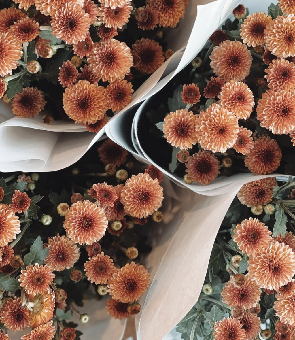 Fresh Single Variety Bunch