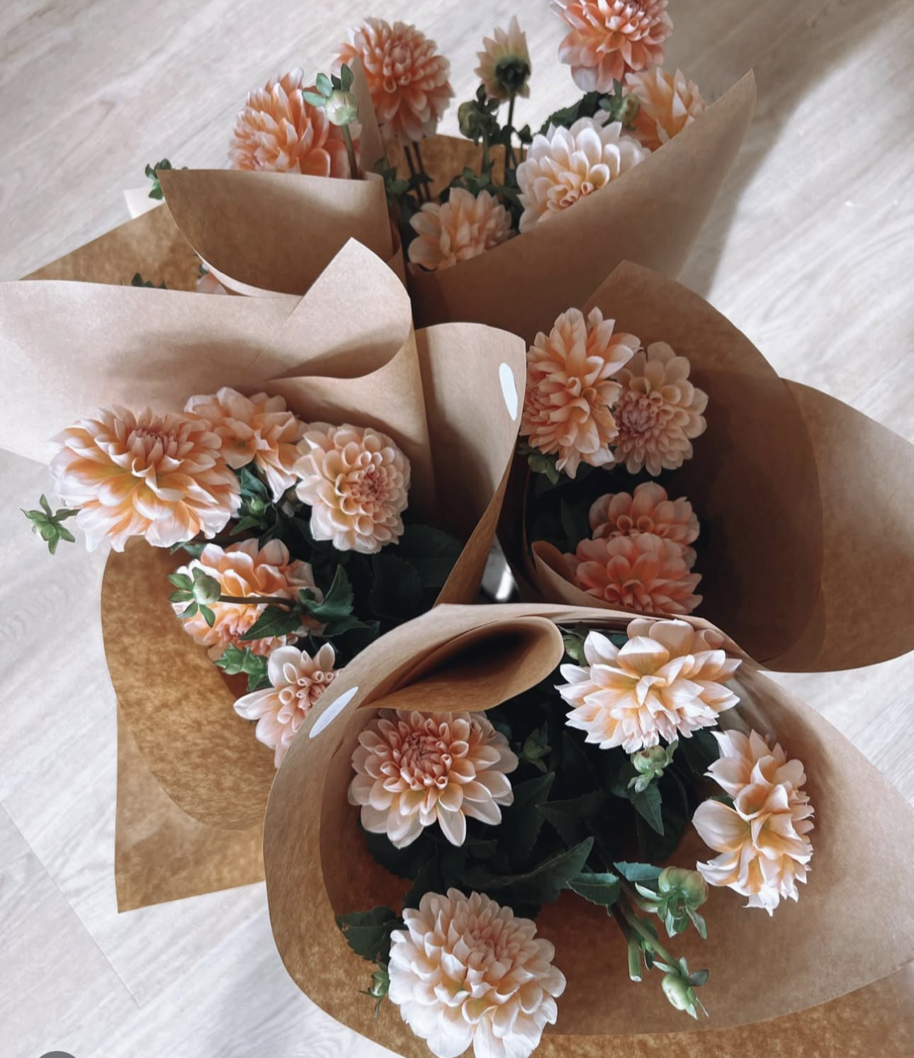 Fresh Single Variety Bunch