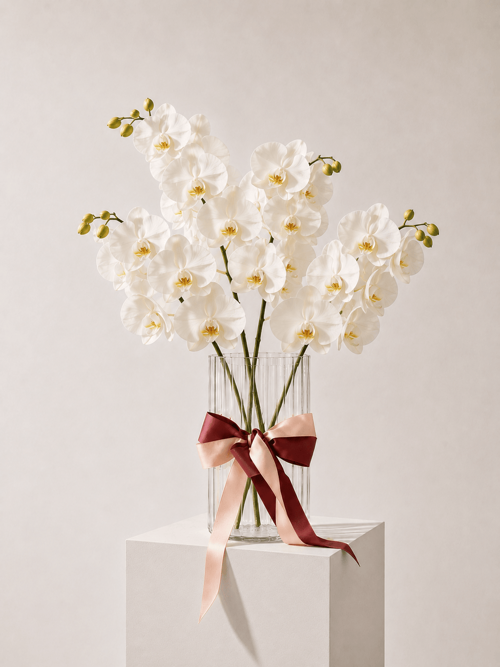 Fresh Orchid Stem