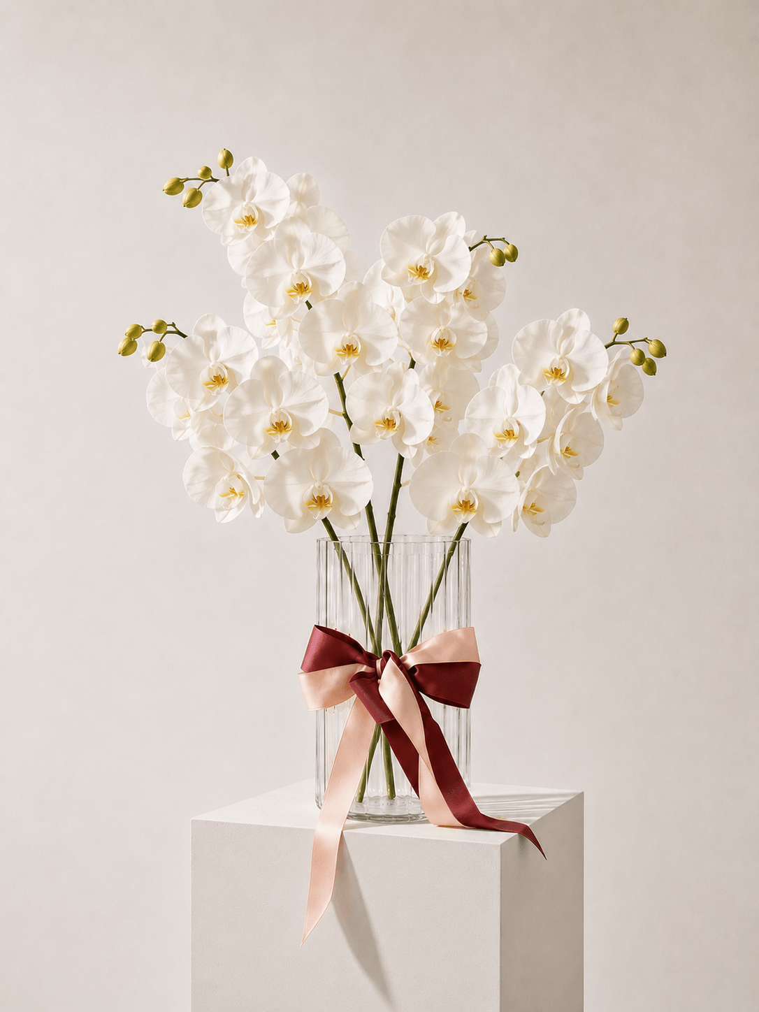 Fresh Orchid Stem