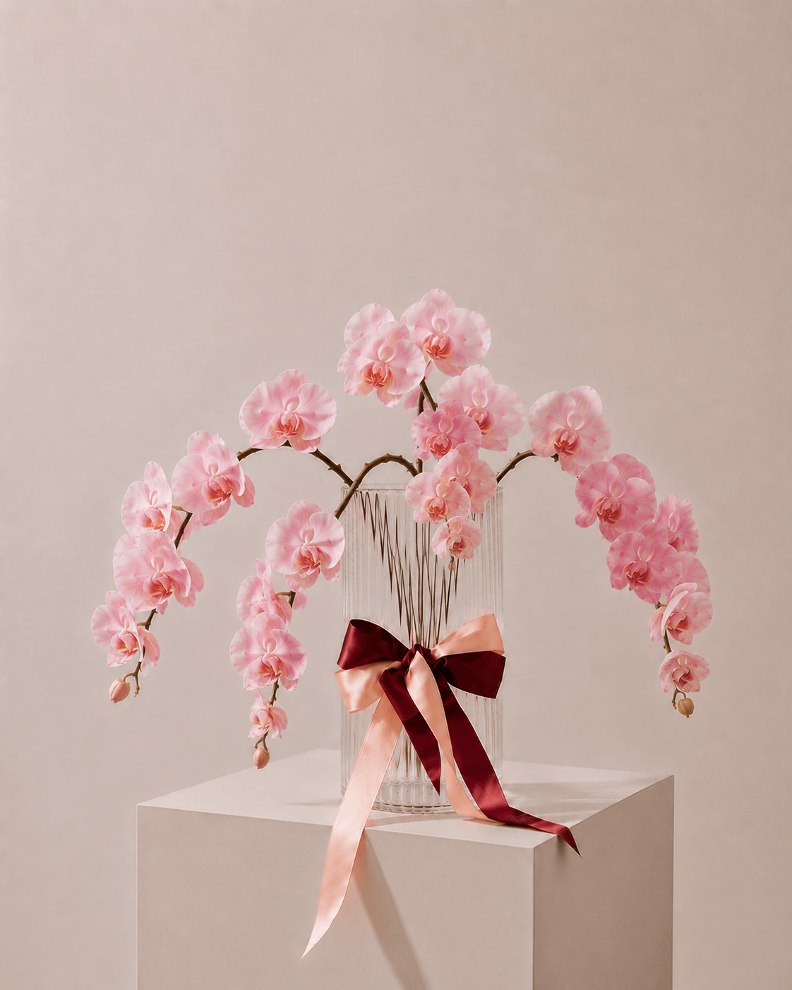 Fresh Orchid Stem