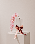 Fresh Orchid Stem