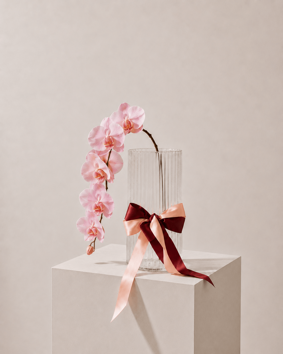 Fresh Orchid Stem