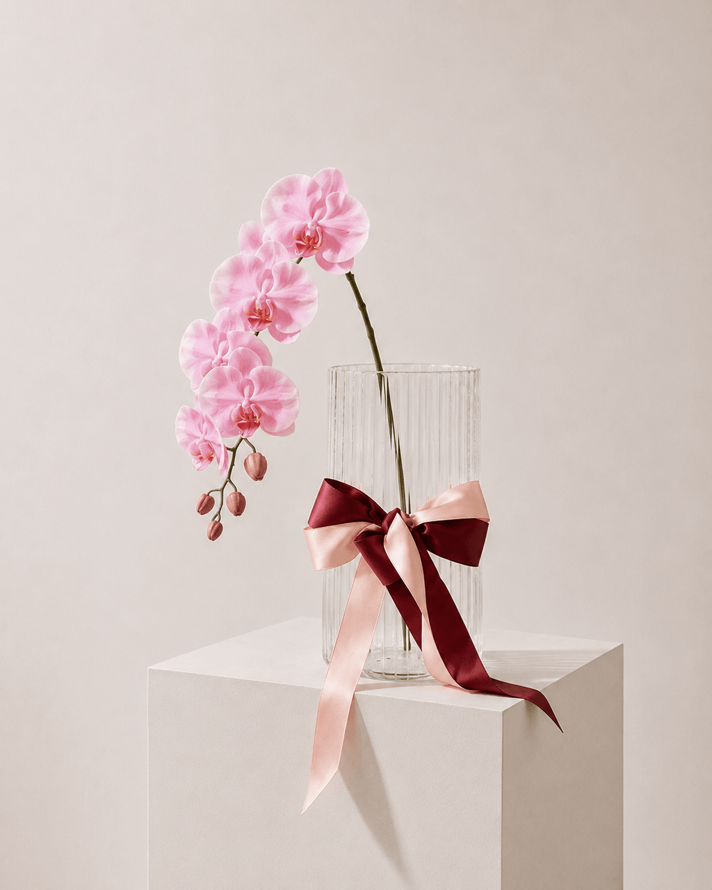 Fresh Orchid Stem