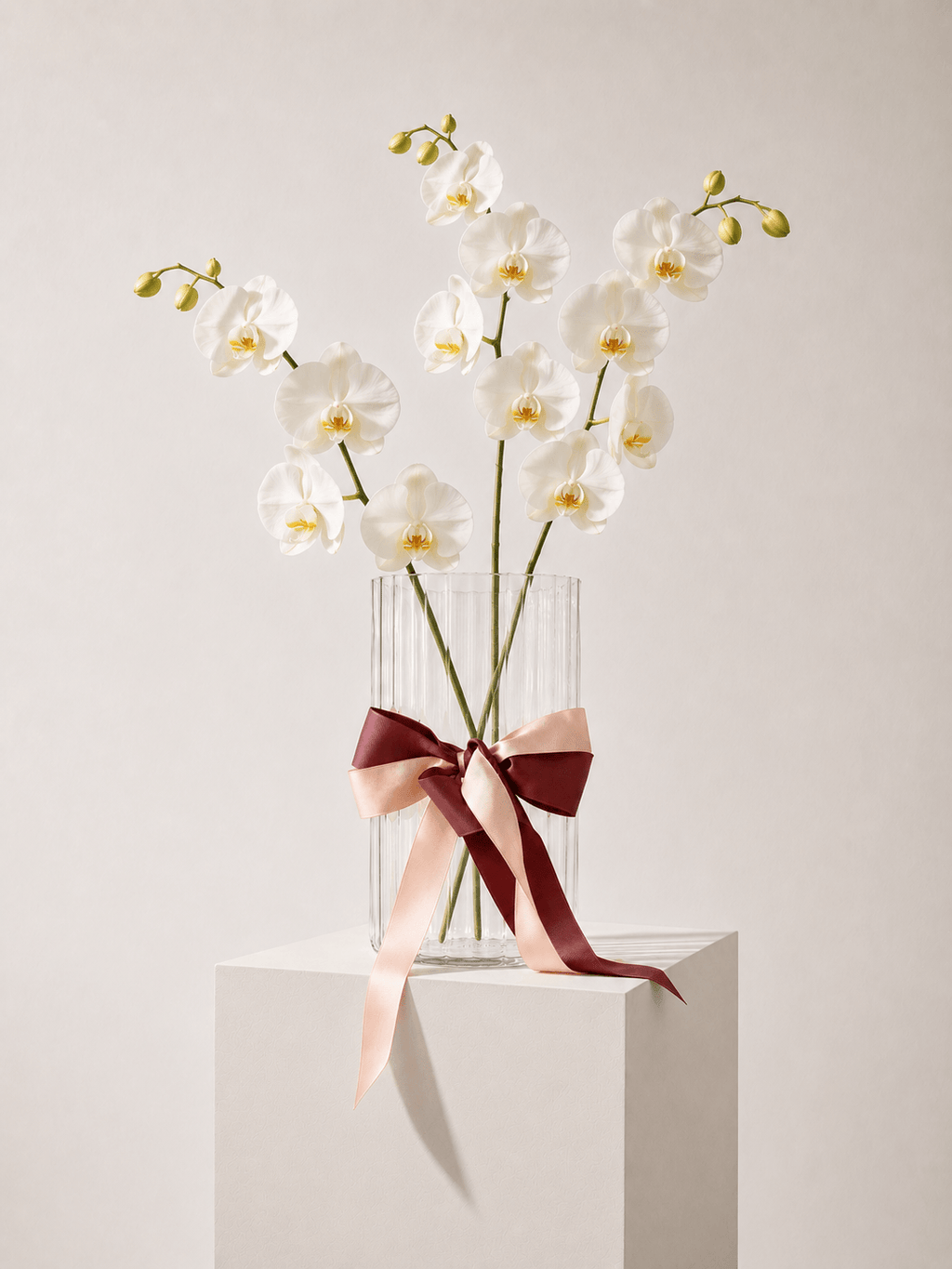 Fresh Orchid Stem