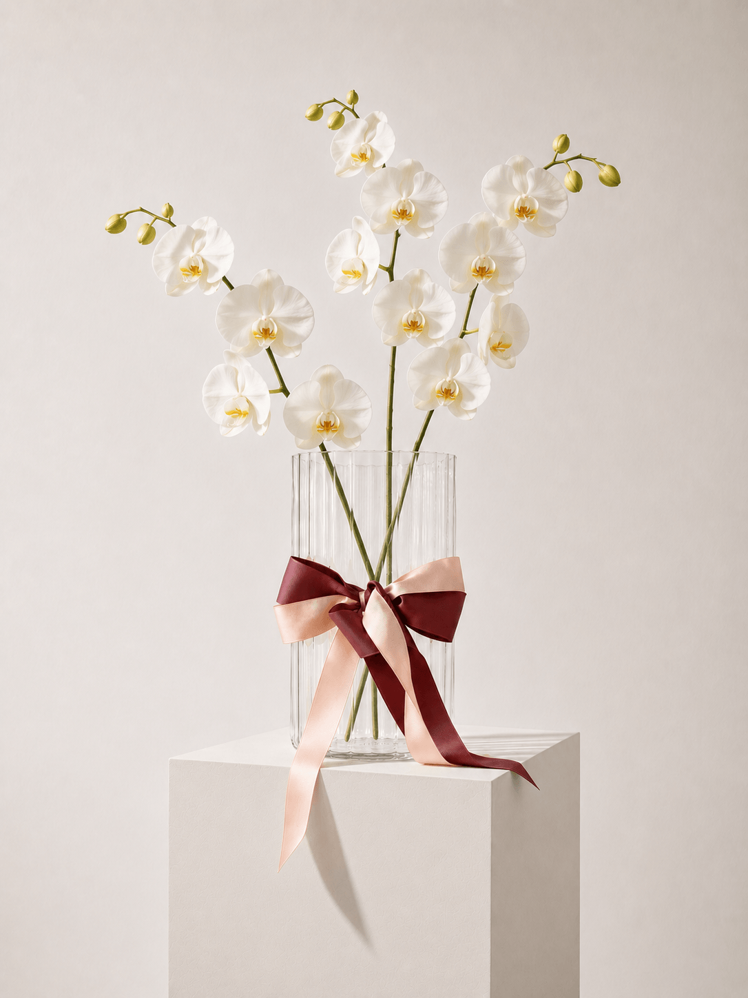 Fresh Orchid Stem