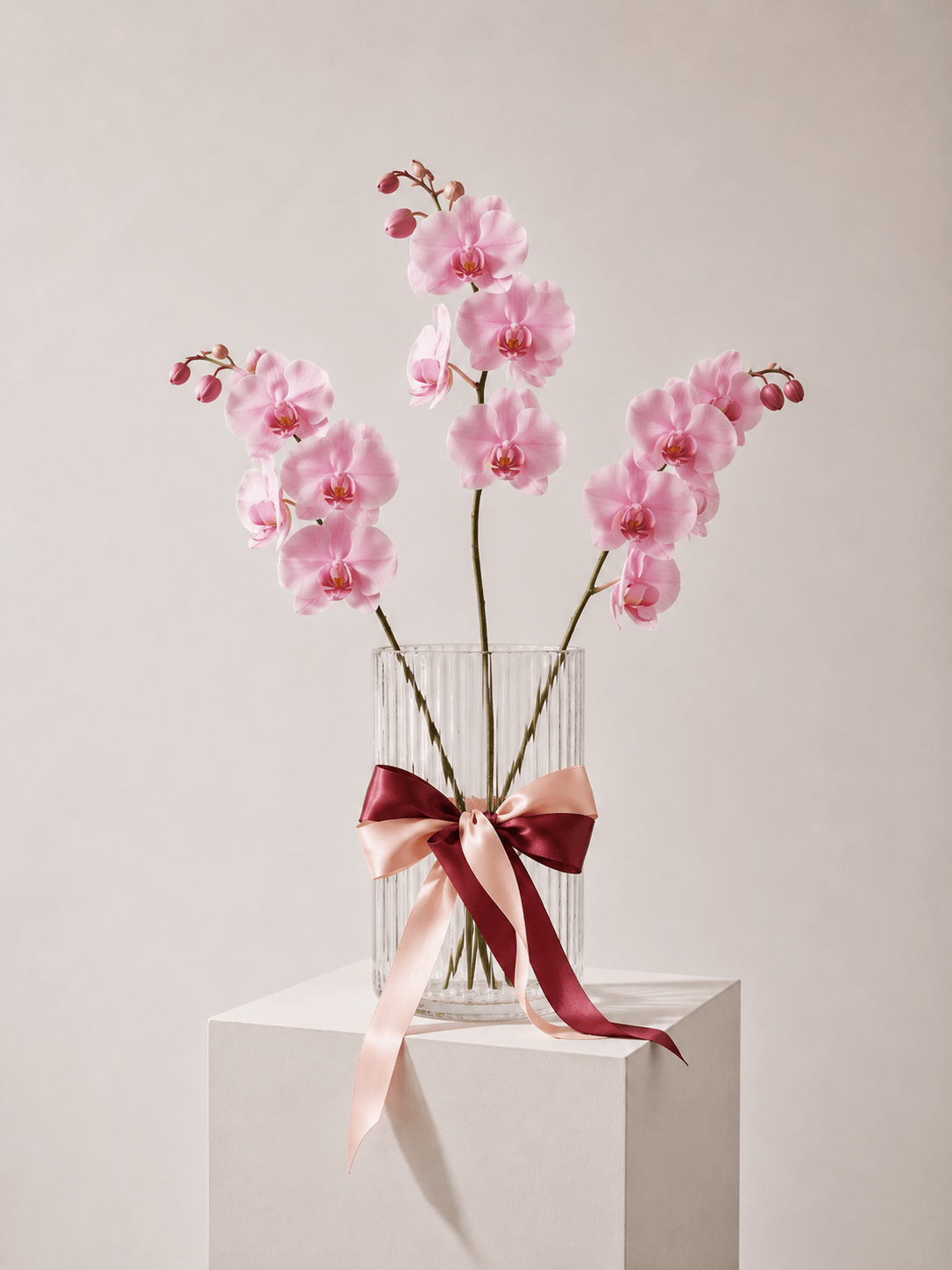 Fresh Orchid Stem