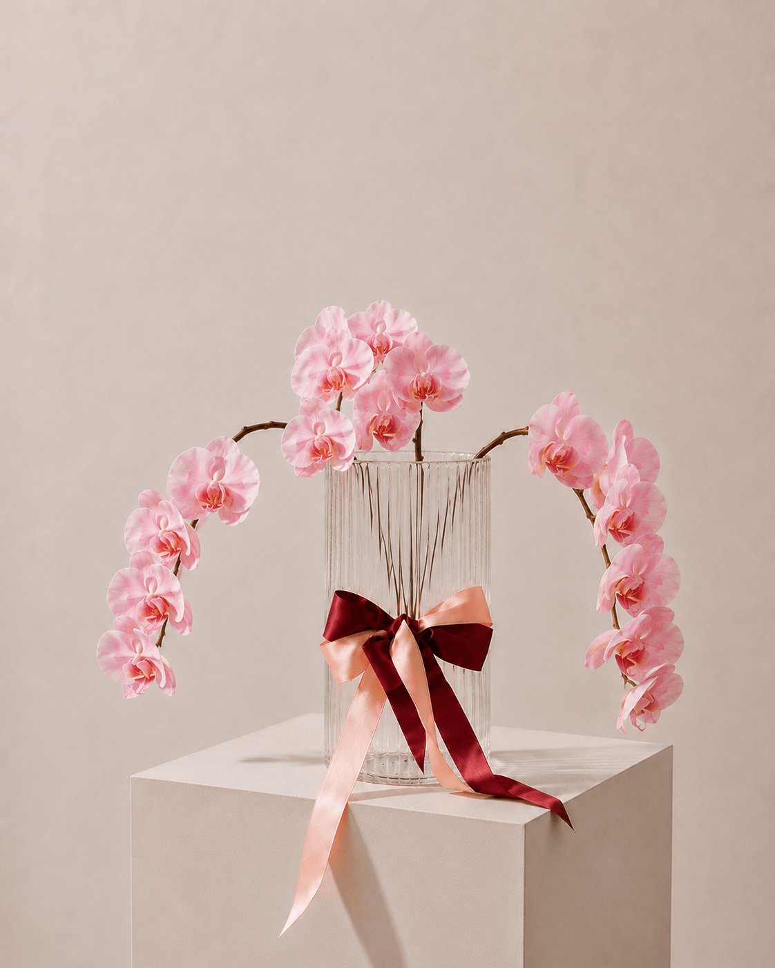 Fresh Orchid Stem