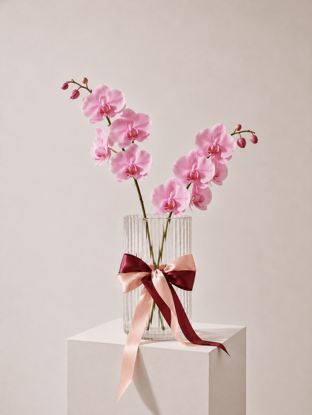 Fresh Orchid Stem