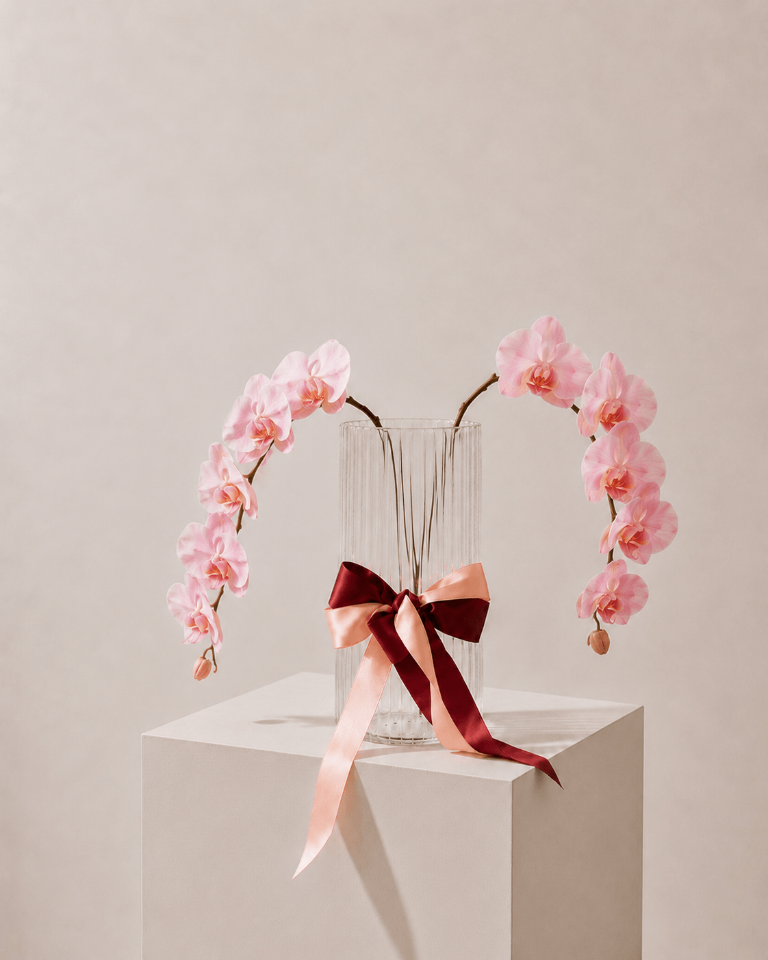 Fresh Orchid Stem