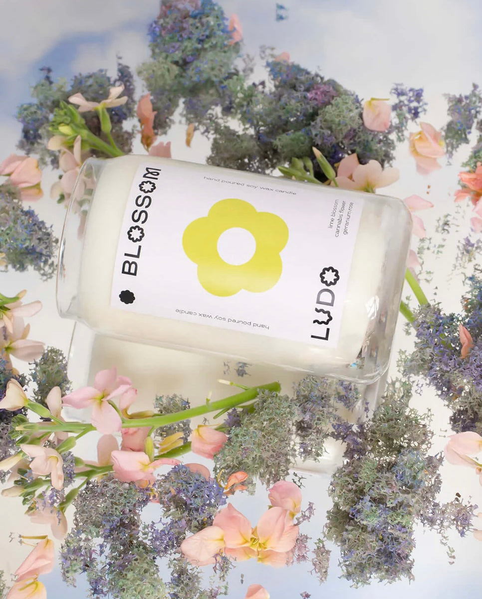 Ludo Candle - Blossom