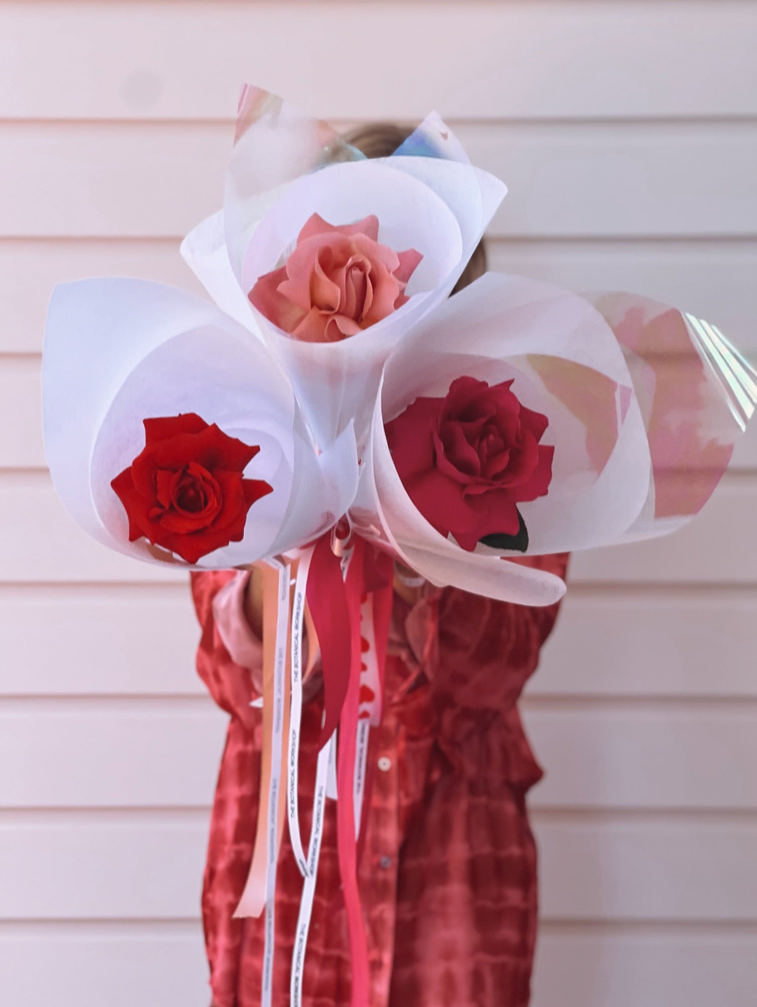 Single Stem Valentines Day Rose