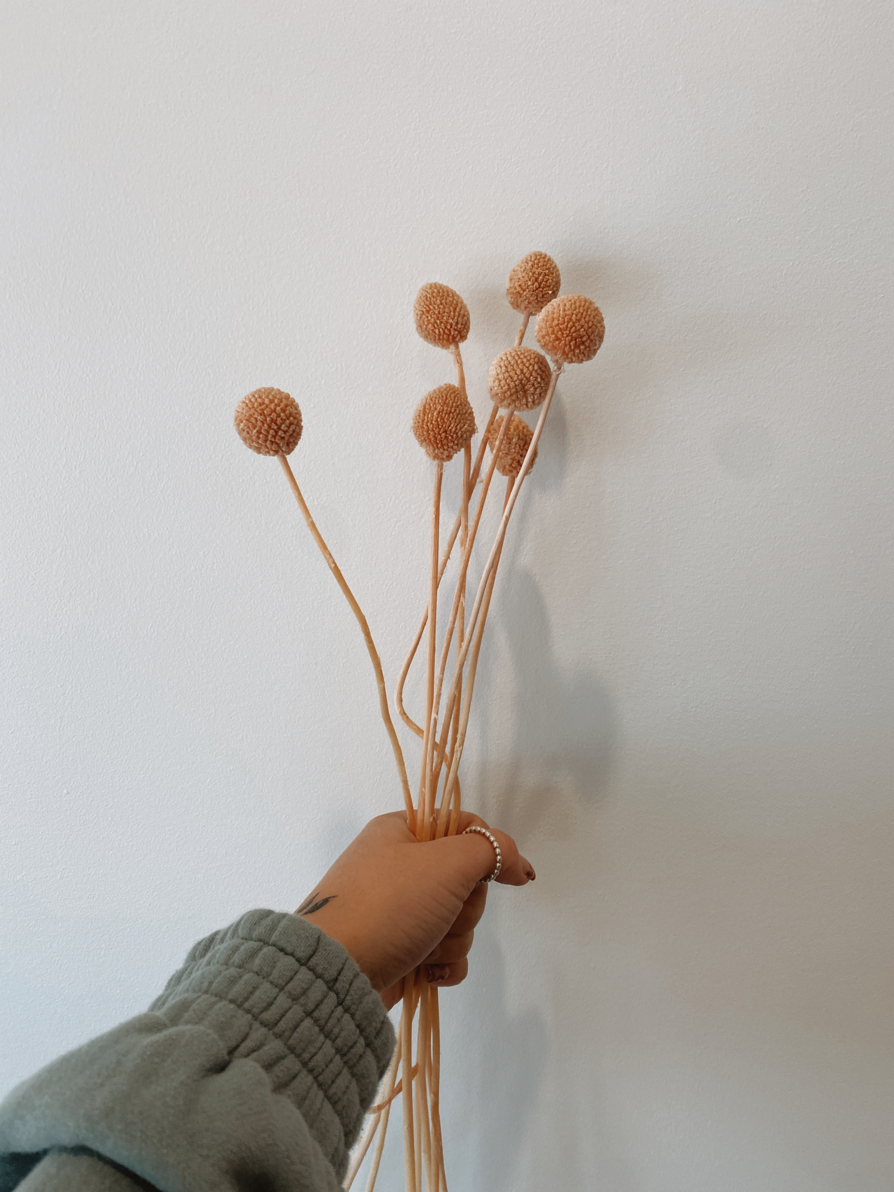 Billy Button Single Bunch